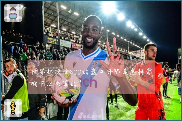 世界杯投注app的盘口升降是怎样影响下注决策的？