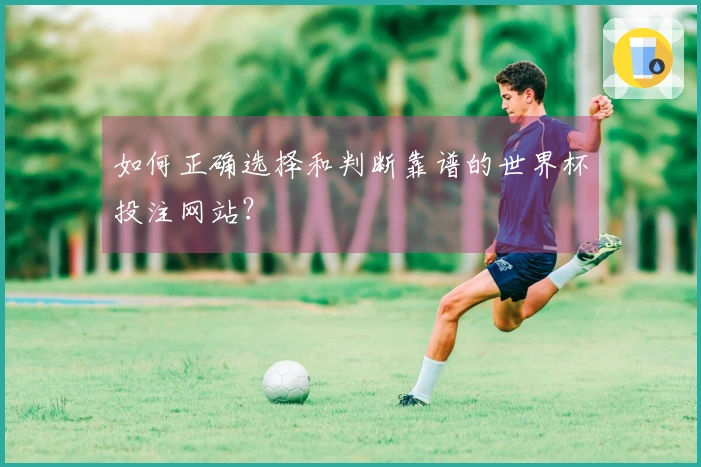 如何正确选择和判断靠谱的世界杯投注网站？