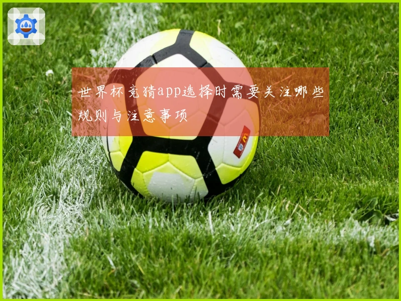 世界杯竞猜app选择时需要关注哪些规则与注意事项