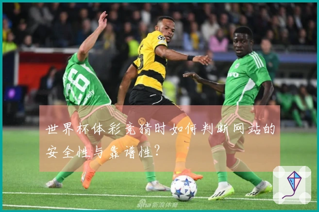 世界杯体彩竞猜时如何判断网站的安全性与靠谱性?