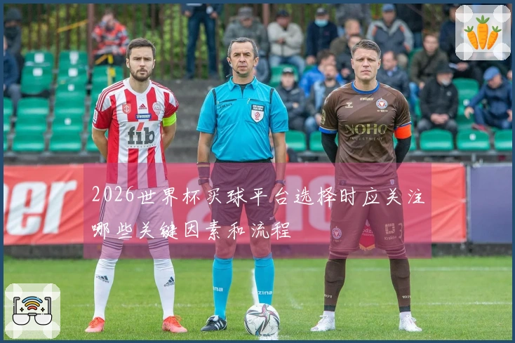 2026世界杯买球平台选择时应关注哪些关键因素和流程