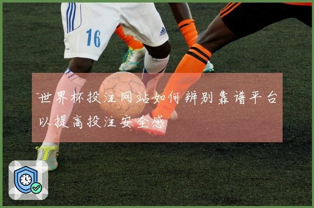 世界杯投注网站如何辨别靠谱平台以提高投注安全感