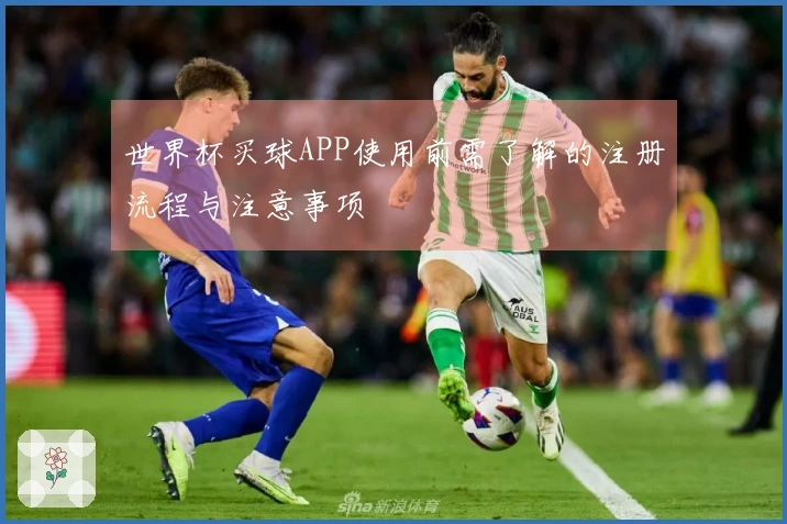 世界杯买球APP使用前需了解的注册流程与注意事项