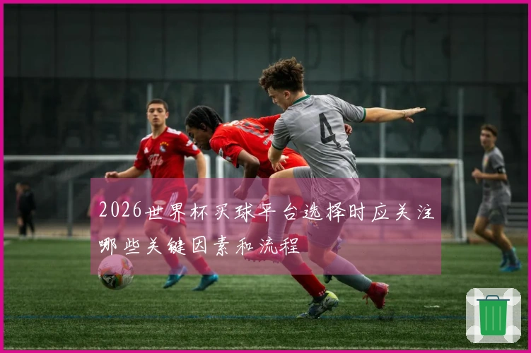 2026世界杯买球平台选择时应关注哪些关键因素和流程
