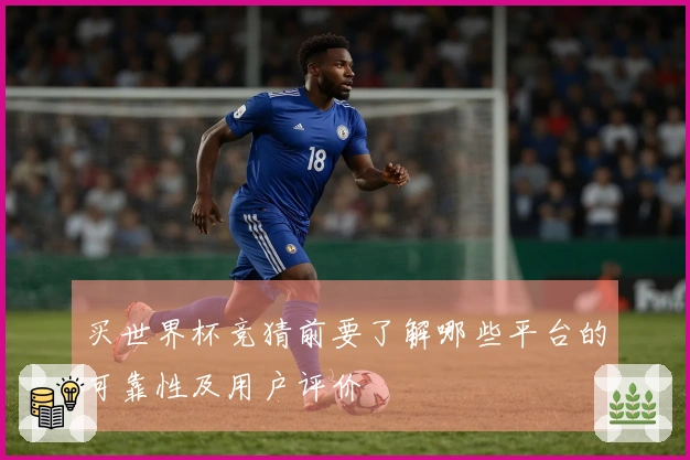 买世界杯竞猜前要了解哪些平台的可靠性及用户评价