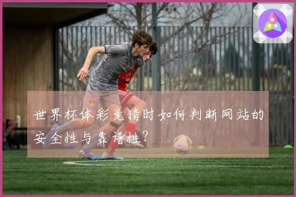 世界杯体彩竞猜时如何判断网站的安全性与靠谱性？