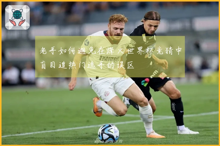 老手如何避免在烽火世界杯竞猜中盲目追热门选手的误区