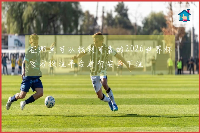 在哪里可以找到可靠的2026世界杯官方投注平台进行安全下注
