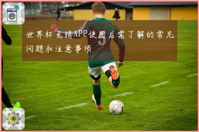 世界杯竞猜APP使用后需了解的常见问题和注意事项