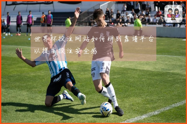 世界杯投注网站如何辨别靠谱平台以提高投注安全感